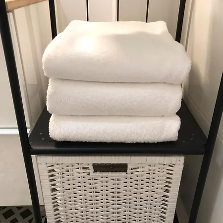 Fika Flat Casco Viejo Parking 20 Euro X Dia 公寓