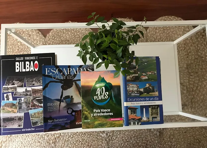 Fika Flat Casco Viejo Parking 20 Euro X Dia