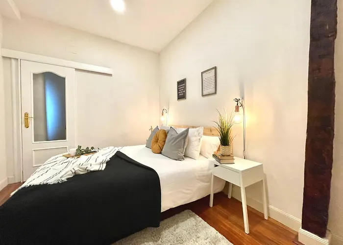 Fika Flat Casco Viejo Parking 20 Euro X Dia *